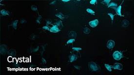  Presentation with black sea - Theme consisting of sea creature - glowing blue jellyfish over black background and a black colored foreground