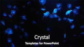  Presentation with black sea - Slides with sea creature - glowing blue jellyfish over black background and a black colored foreground