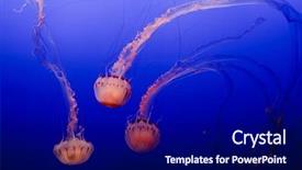  Presentation with jellyfish - PPT theme with sea creature - glowing jellyfish in an aquarium background and a navy blue colored foreground