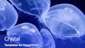  Presentation with underwater industry - PPT theme consisting of sea creature - underwater image of jellyfishes background and a  colored foreground