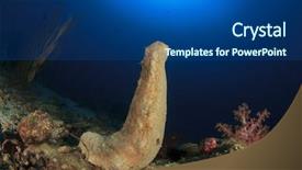  Presentation with sea cucumber - Colorful slide deck enhanced with sea cucumber spawning on coral backdrop and a ocean colored foreground