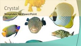  Presentation with puffer - Audience pleasing slide deck consisting of sea-fish-isolated-collection backdrop and a yellow colored foreground