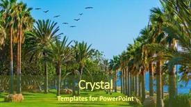  Presentation with southern beach grass - Theme with sea flock of migratory birds background and a tawny brown colored foreground