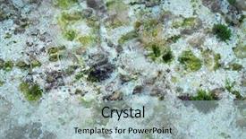  Presentation with sea floor - Beautiful presentation theme featuring sea floor seen through clear backdrop and a  colored foreground