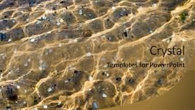  Presentation with sea floor - Beautiful presentation theme featuring sea floor with shells closeup backdrop and a coral colored foreground