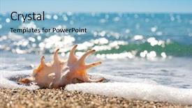  Presentation with seashell - Slides featuring sea foam - seashell in surf and sand background and a light blue colored foreground