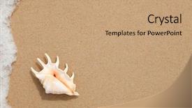  Presentation with seashell - Colorful PPT layouts enhanced with sea foam - seashell top view backdrop and a coral colored foreground