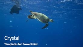  Presentation with environmental pollution - Slides consisting of sea full of plastic background and a dark gray colored foreground