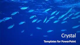  Presentation with plankton - Beautiful slides featuring sea fusiliers feeding on plankton backdrop and a dark gray colored foreground