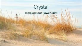  Presentation with scene - Amazing theme having sea grass - beach scene backdrop and a sky blue colored foreground