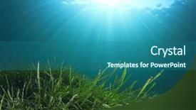  Presentation with green seaweed - Presentation theme consisting of sea grass - underwater green seaweed background and a ocean colored foreground