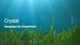  Presentation with underwater - Beautiful presentation design featuring sea grass underwater backdrop and a teal colored foreground