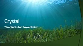  Presentation with weed - Colorful presentation enhanced with sea grass underwater backdrop and a ocean colored foreground