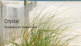  Presentation with next - Beautiful presentation featuring sea grasses next to sand backdrop and a mint green colored foreground