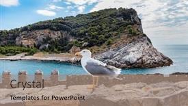  Presentation with coast - Presentation enhanced with sea-gull-on-porto-venere background and a coral colored foreground