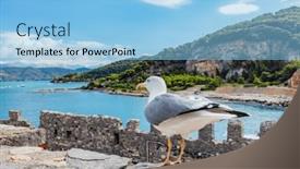  Presentation with coast - Slide set with sea-gull-on-porto-venere background and a light blue colored foreground