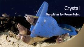  Presentation with sea plastic - Cool new slide deck with toilet dumped in sea home backdrop and a navy blue colored foreground