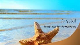  Presentation with fish beach - Slides with sea landscape fish background and a light blue colored foreground