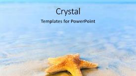  Presentation with fish beach - Presentation theme featuring sea landscape star background and a light blue colored foreground