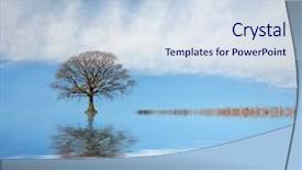  Presentation with oak tree - PPT layouts enhanced with sea level - oak tree in winter background and a sky blue colored foreground