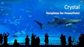  Presentation with japan - Cool new theme with japan life - aquarium in okinawa backdrop and a gray colored foreground