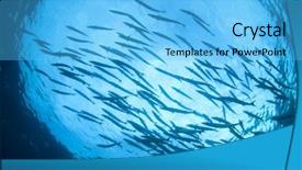  Presentation with philippines environment - Cool new slides with philippines environment - school of barracuda fish backdrop and a light blue colored foreground