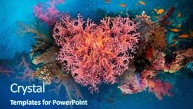  Presentation with coral reefs blue water beautiful sky - Theme featuring colorful sea animals - valentine heart made of corals background and a ocean colored foreground