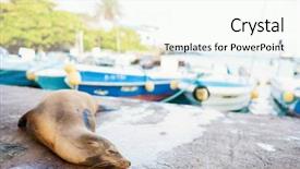  Presentation with sea port - Theme enhanced with sea lion sleeping in town background and a cream colored foreground