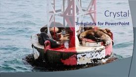  Presentation with sea sun - Beautiful presentation design featuring sea-lions-sea-lions-relaxing backdrop and a lemonade colored foreground