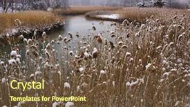 Presentation with marsh - Colorful slides enhanced with sea oats - scenic view of marsh backdrop and a tawny brown colored foreground