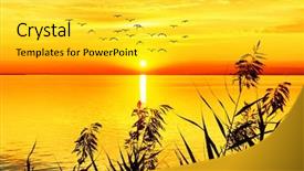  Presentation with sunset - Cool new PPT theme with sea oats - sunset in the lake backdrop and a yellow colored foreground