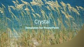  Presentation with sand dunes - PPT layouts consisting of sea oats on the sand background and a ocean colored foreground