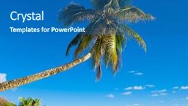  Presentation with paradise - Amazing PPT layouts having sea paradise tree backdrop and a ocean colored foreground