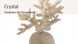  Presentation with light coloreds - Colorful slide set enhanced with sea plant - light coral isolated on white backdrop and a lemonade colored foreground