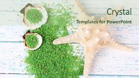  Presentation with sea shells - PPT layouts with sea salt crystals with sea background and a mint green colored foreground