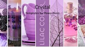  Presentation with color - PPT theme enhanced with sea salt spa collage - trendy concept set with lilac background and a lilac colored foreground