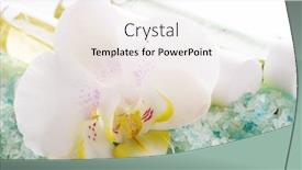  Presentation with orchid - Colorful presentation enhanced with  backdrop and a  colored foreground