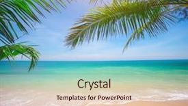  Presentation with beach palm tree wedding - Presentation design consisting of sea sand - palm and tropical beach background and a lemonade colored foreground