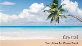  Presentation with palm tree - Slide deck with sea-sand-beach-and-palm background and a lemonade colored foreground