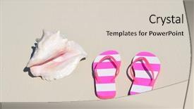  Presentation with sea shell - Cool new theme with sea shell and flip-flops backdrop and a  colored foreground