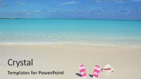  Presentation with sea shell - Presentation theme having sea shell and flip-flops background and a soft green colored foreground