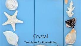  Presentation with sea shell - PPT layouts enhanced with sea shell collage over wooden blue background background and a light blue colored foreground