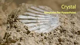  Presentation with fossil - Presentation design consisting of sea shell fossil in surface background and a coral colored foreground