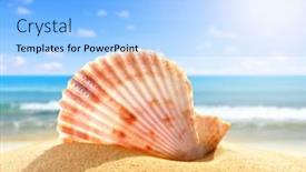  Presentation with sea shell - 