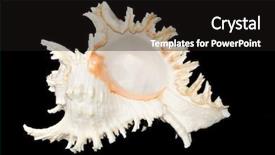  Presentation with black sea - Colorful slide deck enhanced with sea-shell-isolated-on-black backdrop and a black colored foreground