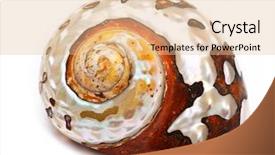  Presentation with sea shell - Audience pleasing slide set consisting of sea shell isolated on white backdrop and a lemonade colored foreground