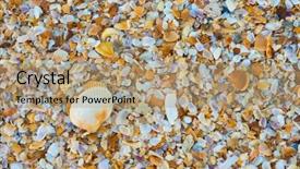  Presentation with sea shell - Amazing slides having sea shell macro florida ocean backdrop and a coral colored foreground
