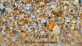  Presentation with sea shell - Theme consisting of sea shell macro florida ocean background and a coral colored foreground