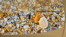  Presentation with sea shell - Slides with sea shell macro florida ocean background and a coral colored foreground