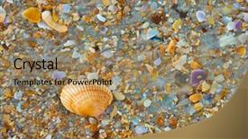  Presentation with compass ocean - Cool new PPT theme with sea shell macro florida ocean backdrop and a coral colored foreground